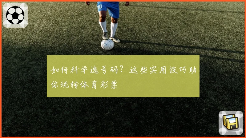 如何科学选号码?这些实用技巧助你玩转体育彩票