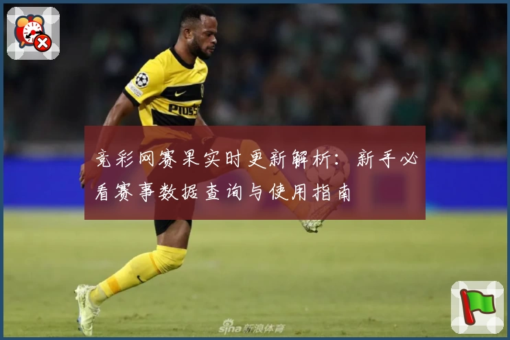 竞彩网赛果实时更新解析：新手必看赛事数据查询与使用指南