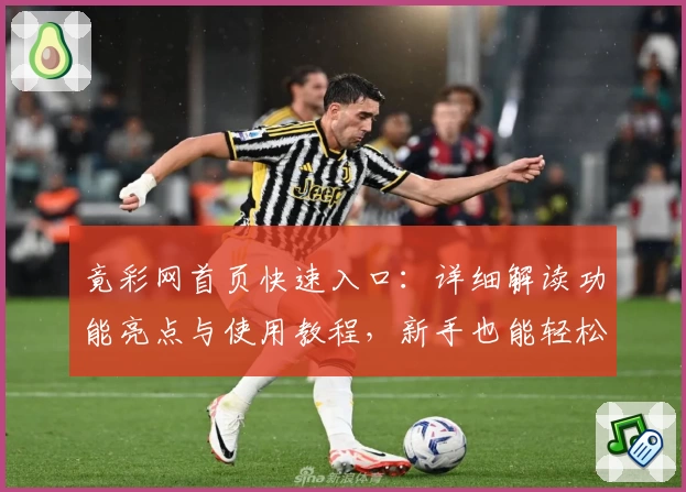 竟彩网首页快速入口：详细解读功能亮点与使用教程，新手也能轻松上手